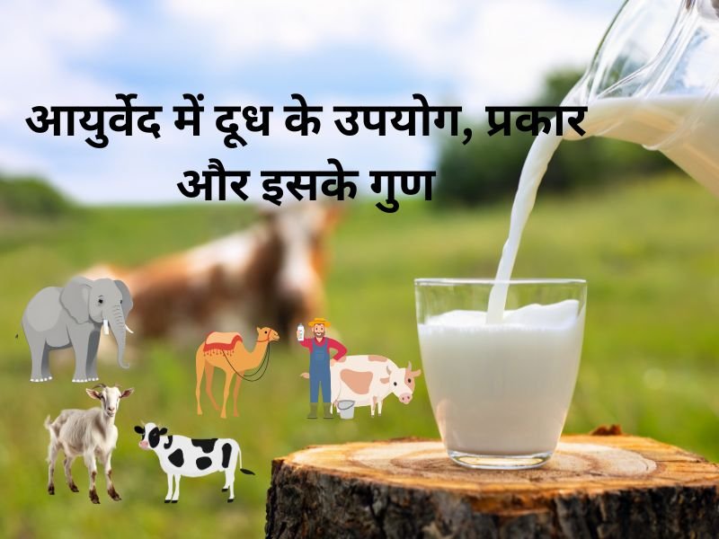 Milk Qualities mentioned in Charak Sanhita